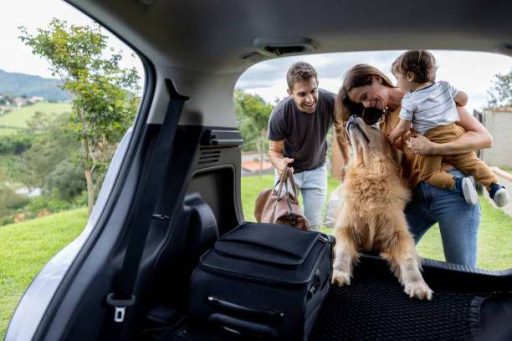 Stai già pensando alle vacanze estive? Approfitta del prenota prima!